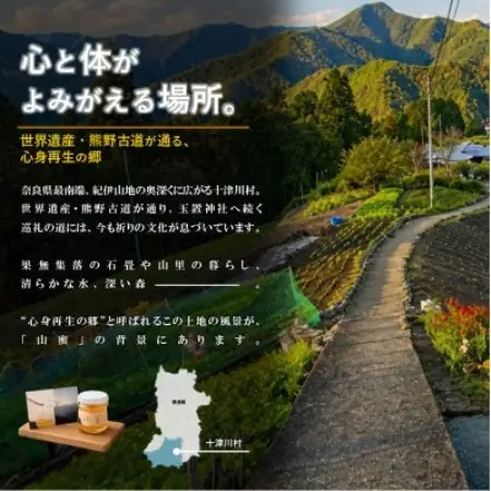 【非加熱】山蜜(奈良県十津川村産)百花はちみつ 70g【1784869】