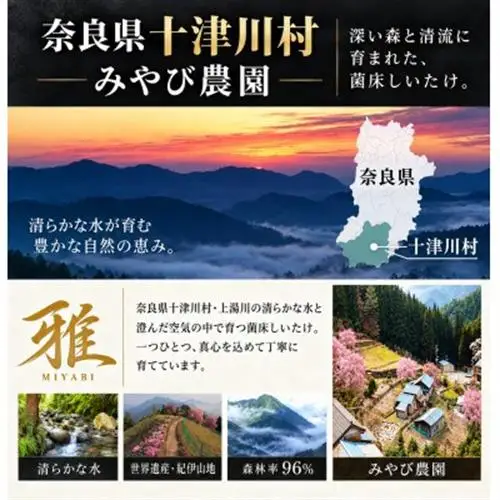 【大粒・肉厚】特選生しいたけ「雅」木箱入り9個 約500g 奈良県十津川村産【配送不可地域：離島】【1786490】