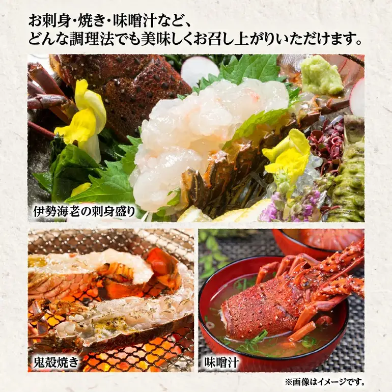 奄美大島産 伊勢海老 3kg A150-003