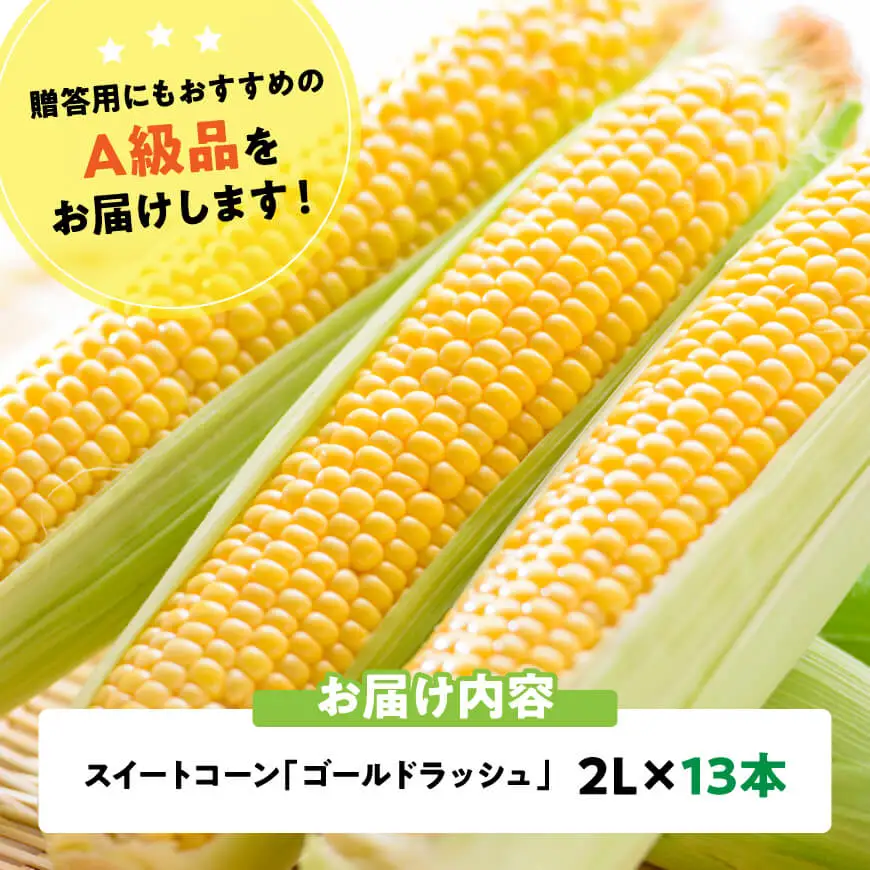 【令和9年産】スイートコーン「ゴールドラッシュ」2L×13本 【 新鮮 農家直送 トウモロコシ 産地直送 季節限定 期間限定 宮崎県産 九州産 】