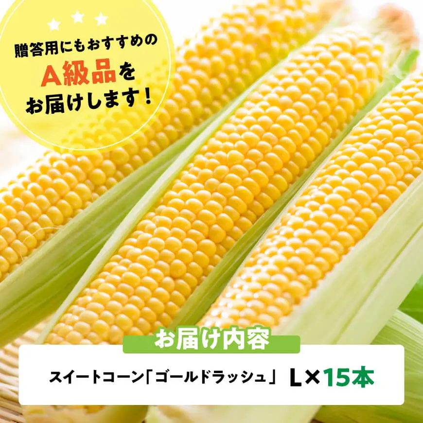【令和9年産】スイートコーン「ゴールドラッシュ」L×15本 【 新鮮 農家直送 トウモロコシ 産地直送 季節限定 期間限定 宮崎県産 九州産 】
