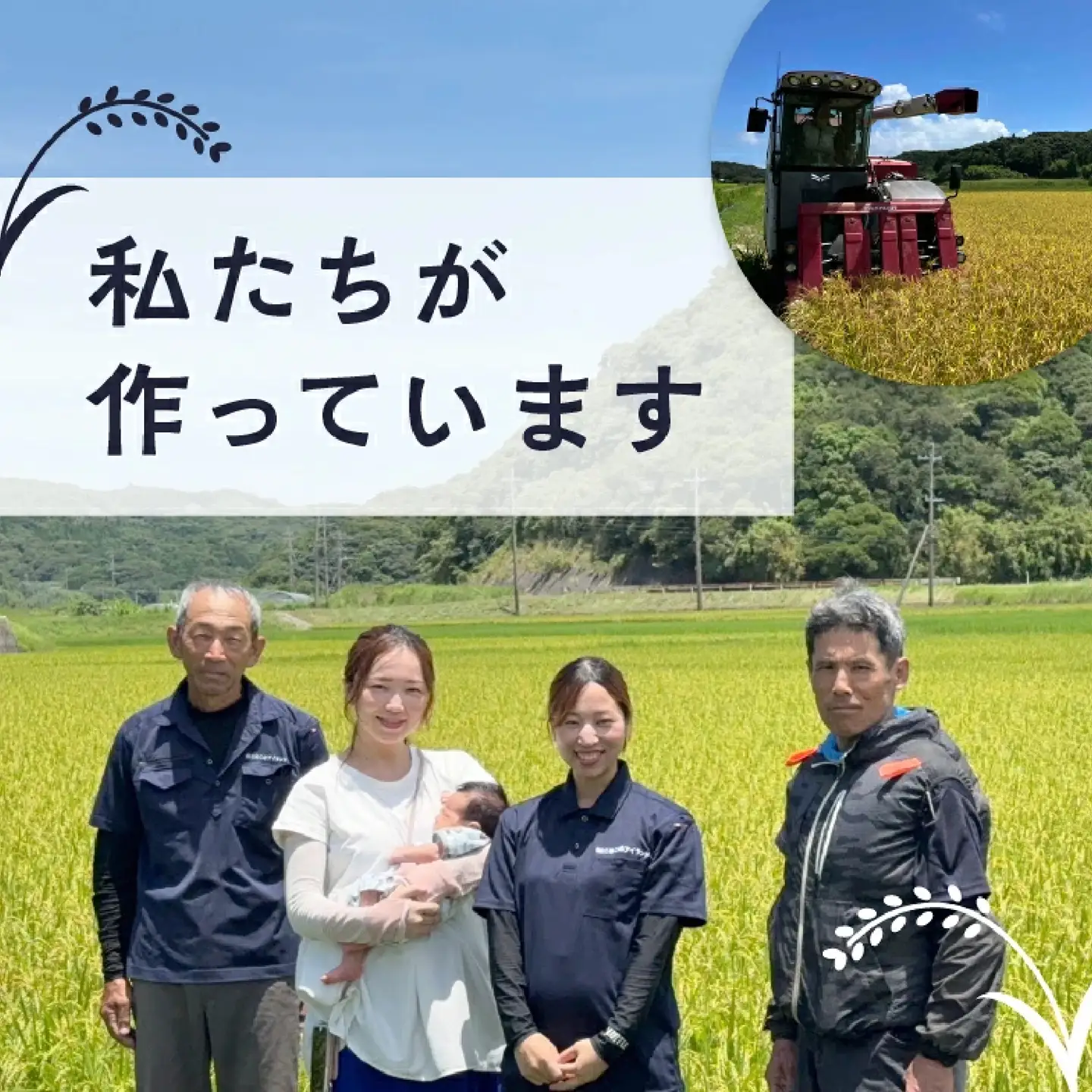 令和8年産 新米 にじのきらめき コシヒカリ ミルキークイーン 食べ比べセット 計1.35kg（450g×各1袋） お米 こめ コメ 精米 白米 南種子町 鹿児島 かごしま【株式会社こめこめアイランド】