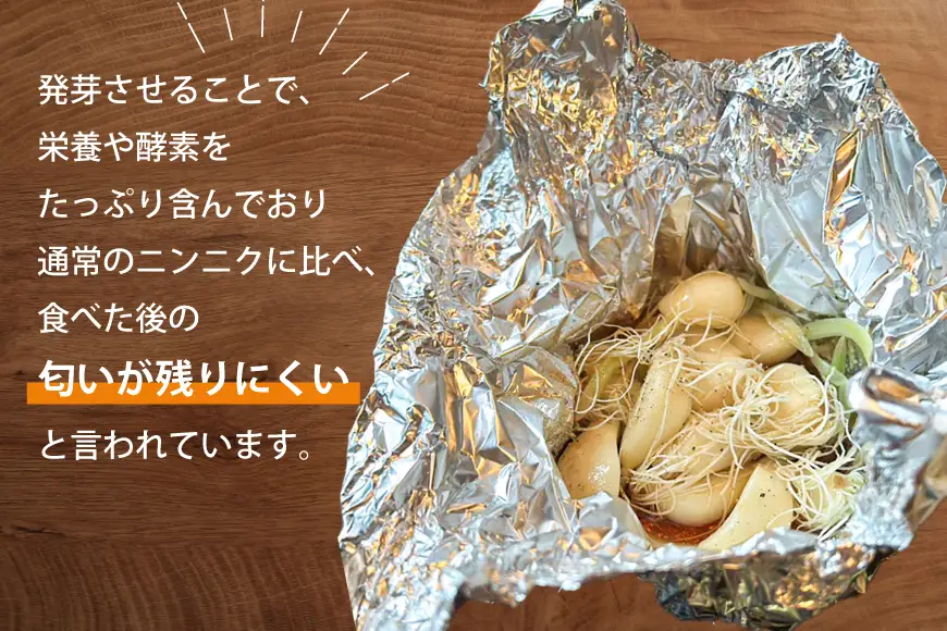 にんにく 満点にんにく 6～8個入 10袋