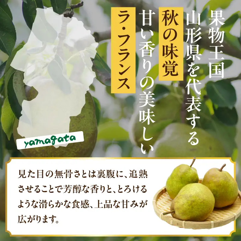 山形県産洋梨 ラ・フランス 秀品 約5kg【2026年11月上旬頃～発送予定】 063-026