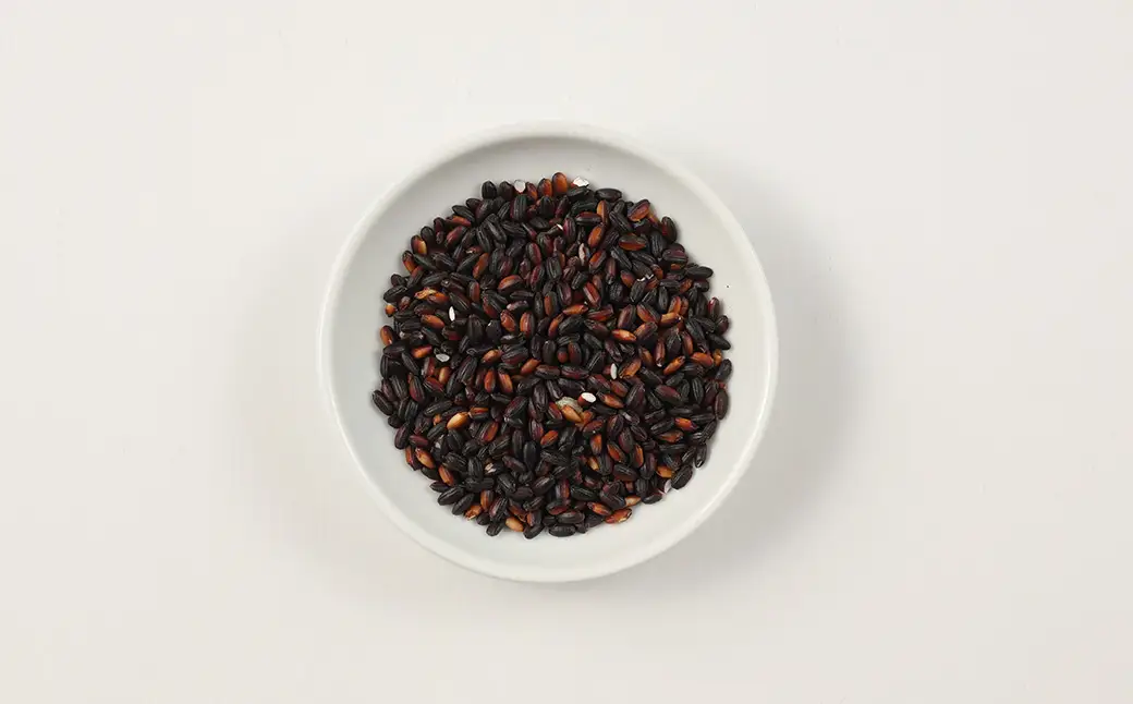 【白米に混ぜるだけ】黒米（500g）（しだれ桜とナリエの里 四美）【南ひだヘルスファーム】【129-7】