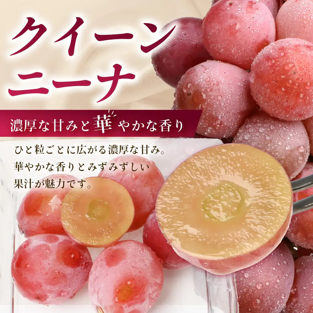【先行受付 2027年発送】庄原市西城産 贅沢ぶどうセット 4房（合計2kg）　OV-4