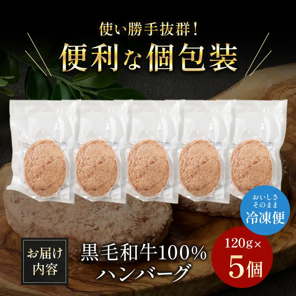 ハンバーグ 【食べログ百名店】倉薗牧場の国産黒毛和牛100％の贅沢ハンバーグ120g×5個