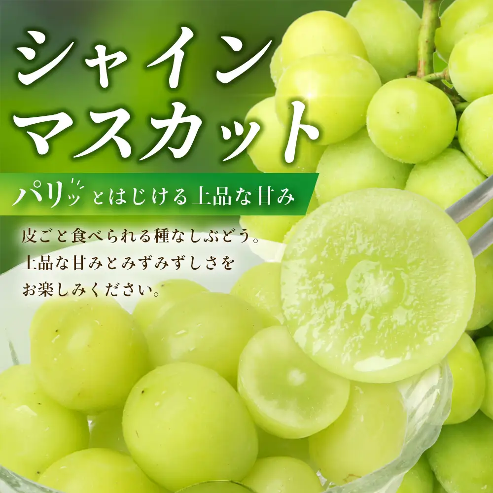 【先行受付 2027年発送】シャインマスカット&ピオーネ2房セット（合計1kg） OV-3