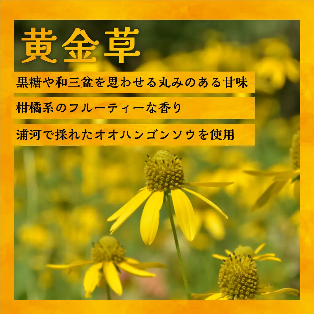 国産純粋完熟はちみつ大瓶セット(アカシア・黄金草)580g×2本[16-1658]