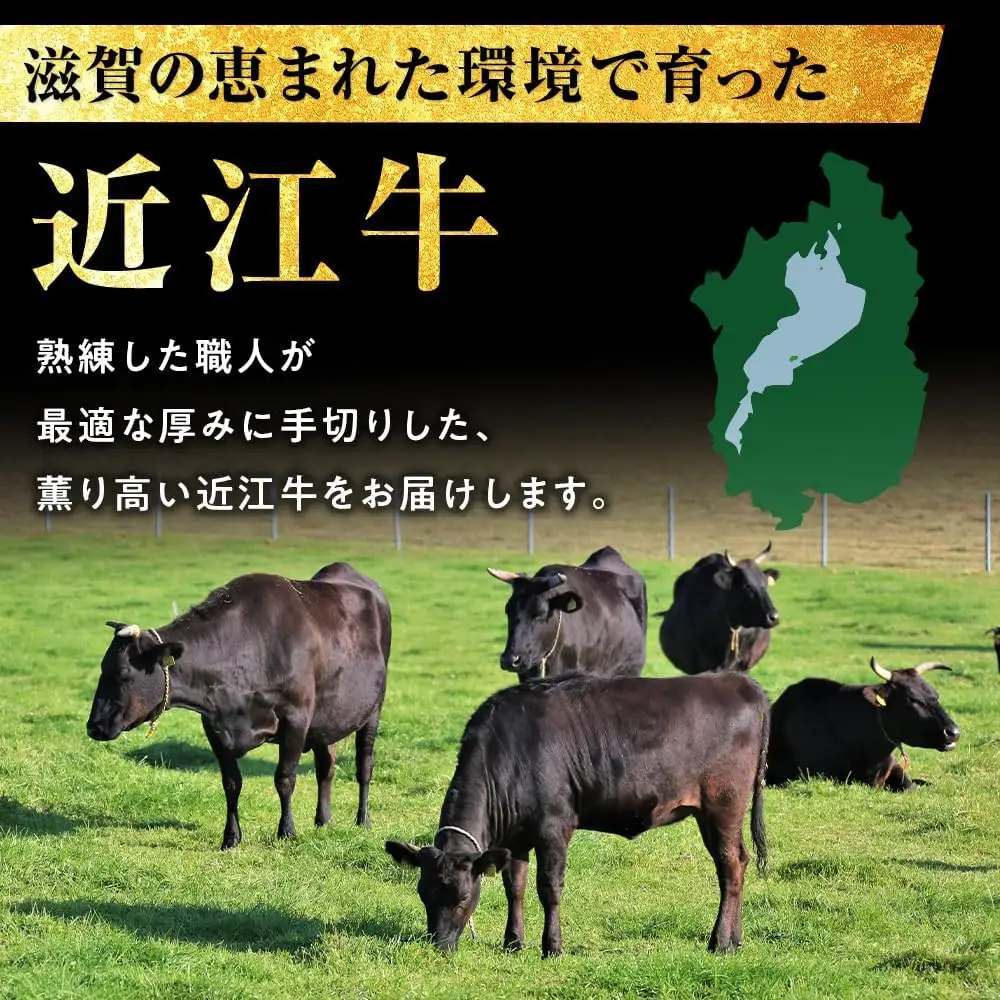 【定期便】近江牛 ヒレステーキ 750g (4-5枚入)×3回| 肉 ヒレステーキ すてーき 近江 牛肉 和牛 赤身 ステーキ 国産 ブランド牛 ひれすてーき ７５０ グラム ヒレ肉 牛ヒレ 日本三大和牛 お取り寄せ グルメ ひれ ステーキ 近畿 滋賀県産ステーキ 滋賀ステーキ 甲賀市産ステーキ 甲賀ステーキ 和牛ステーキ 近江牛ステーキ アウトドア キャンプ 滋賀 甲賀