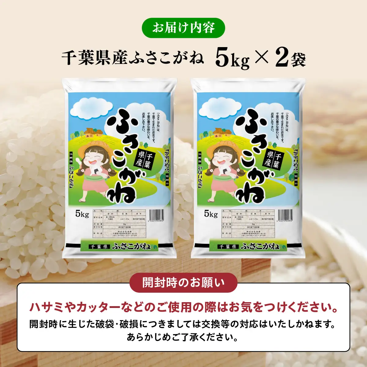 【最短2～7営業日にて出荷】令和8年度産  千葉県産「ふさこがね」10kg  (5kg×2)  KCV005