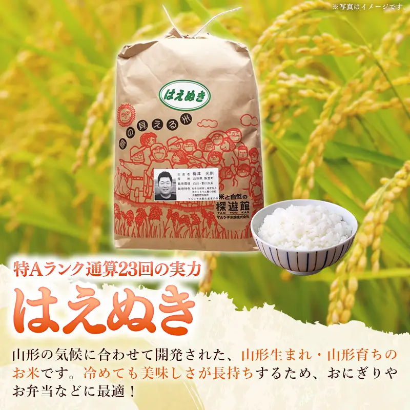 生産者の顔が見える米 はえぬき 白米 10kg（飯豊町産）(R8年産） - おこめ ごはん 単一米 ブランド米 マルシチ米穀 山形県 飯豊町
