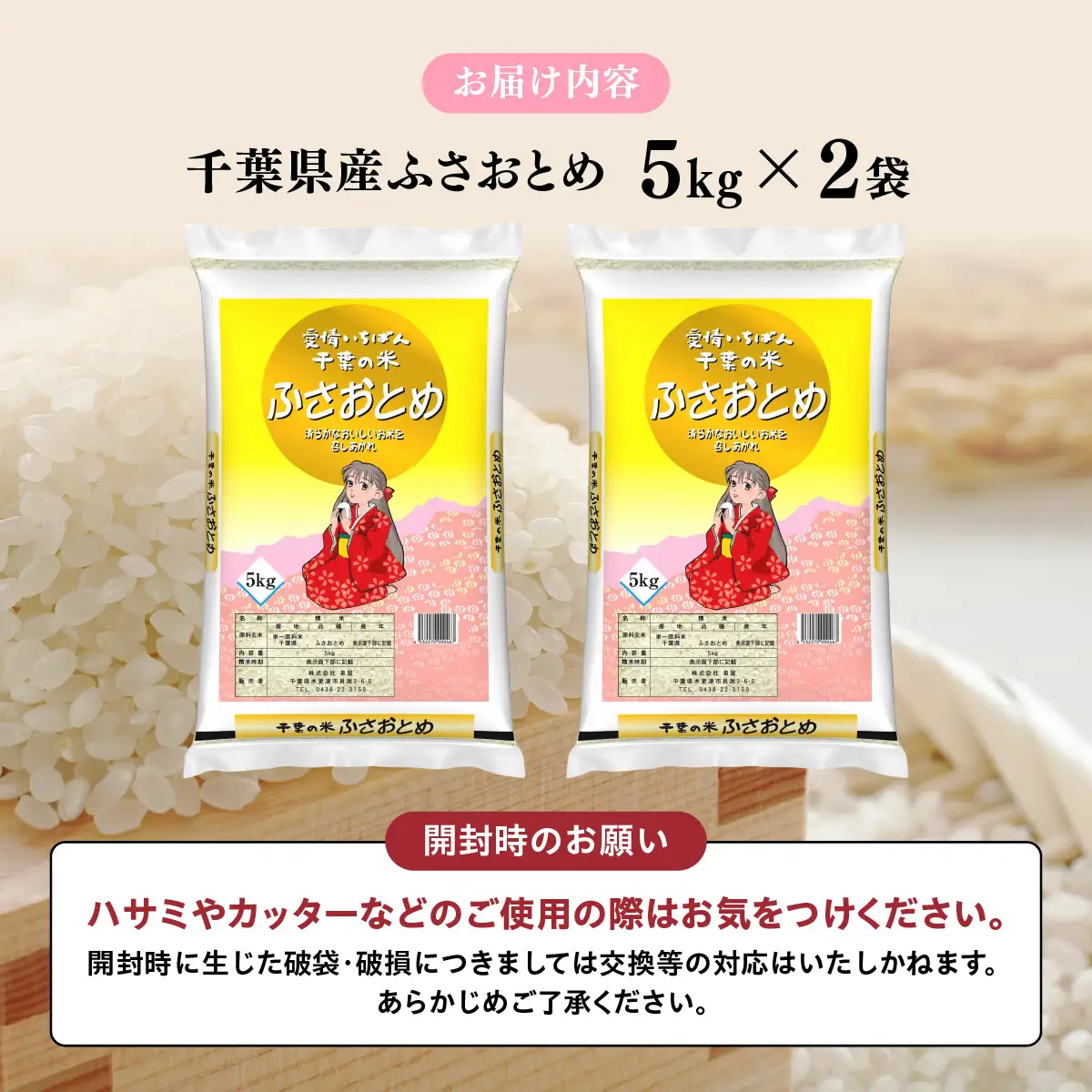 【最短2～7営業日にて出荷】令和8年度産  千葉県産  「ふさおとめ」  10kg  (5kg×2)  KCV006