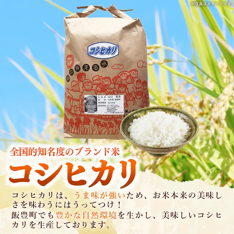 生産者の顔が見える米 コシヒカリ 白米 10kg（飯豊町産）（R8年産） - おこめ ごはん 単一米 ブランド米 マルシチ米穀 山形県 飯豊町