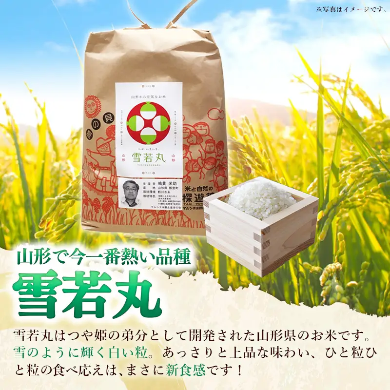 生産者の顔が見える米 雪若丸 白米 10kg（飯豊町産）(R8年産） - おこめ ごはん 単一米 ブランド米 マルシチ米穀 山形県 飯豊町