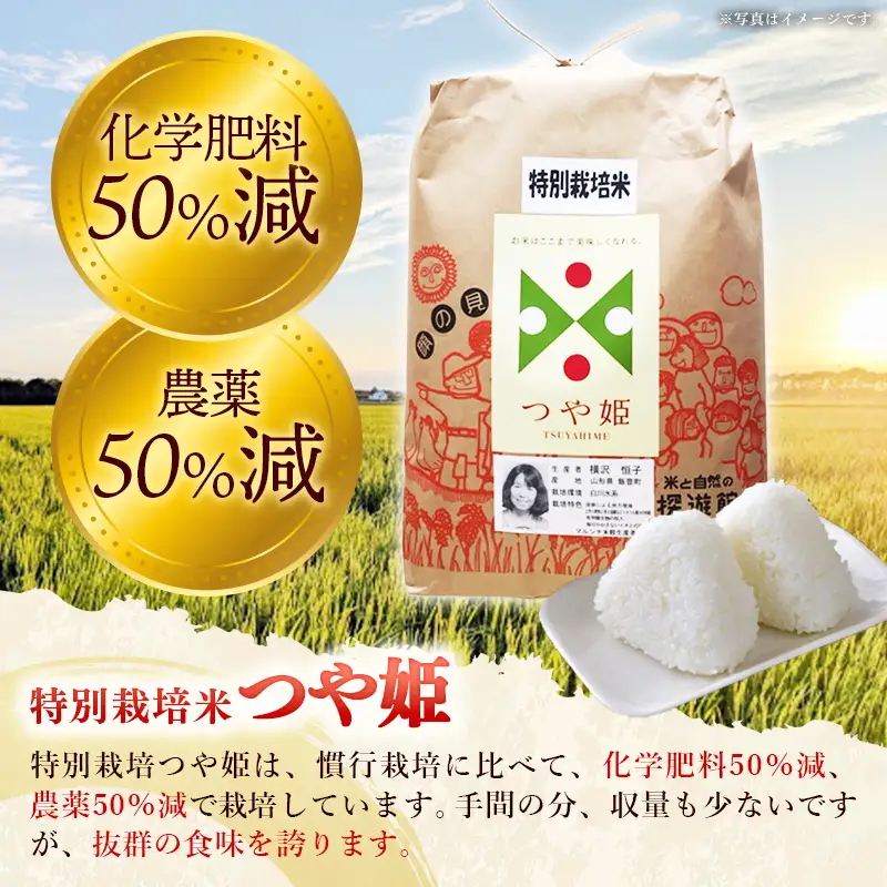 生産者の顔が見える米 特別栽培米 つや姫 白米 10kg （飯豊町産）（R8年産） - おこめ ごはん 単一米 ブランド米 マルシチ米穀 山形県 飯豊町