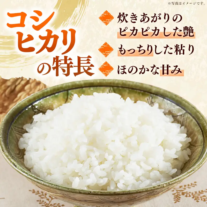 【令和8年産】飯豊町産 コシヒカリ 玄米 30kg - おこめ ごはん ブランド米 マルシチ米穀 山形県 飯豊町