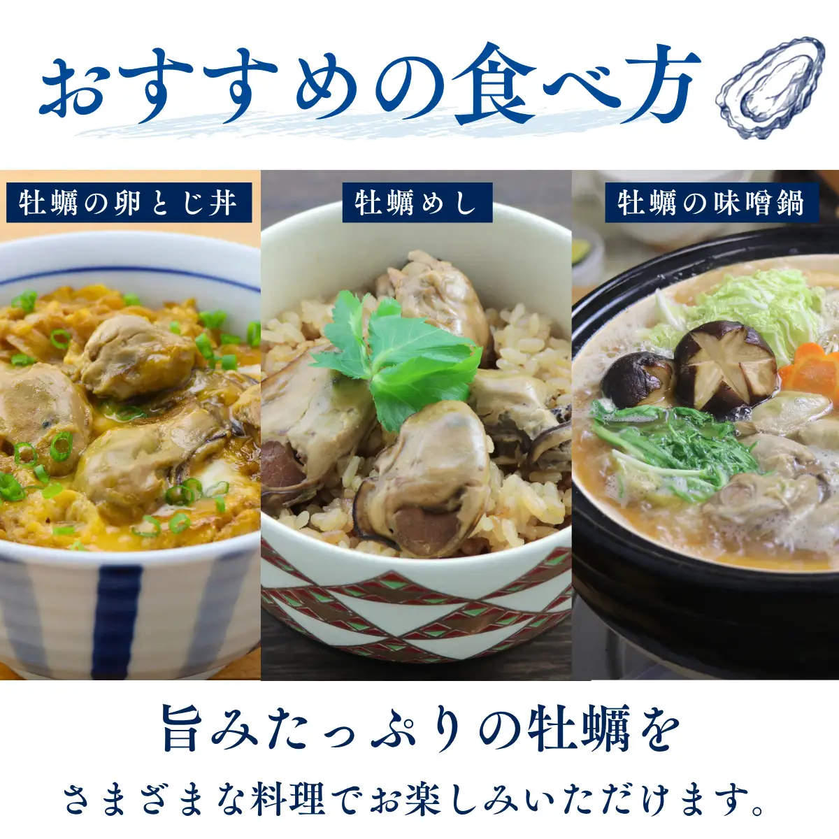 おくの牡蠣 缶詰 8缶 | 牡蠣 かき カキ 缶詰 缶詰め 缶 常温 岡山県 瀬戸内市 邑久町