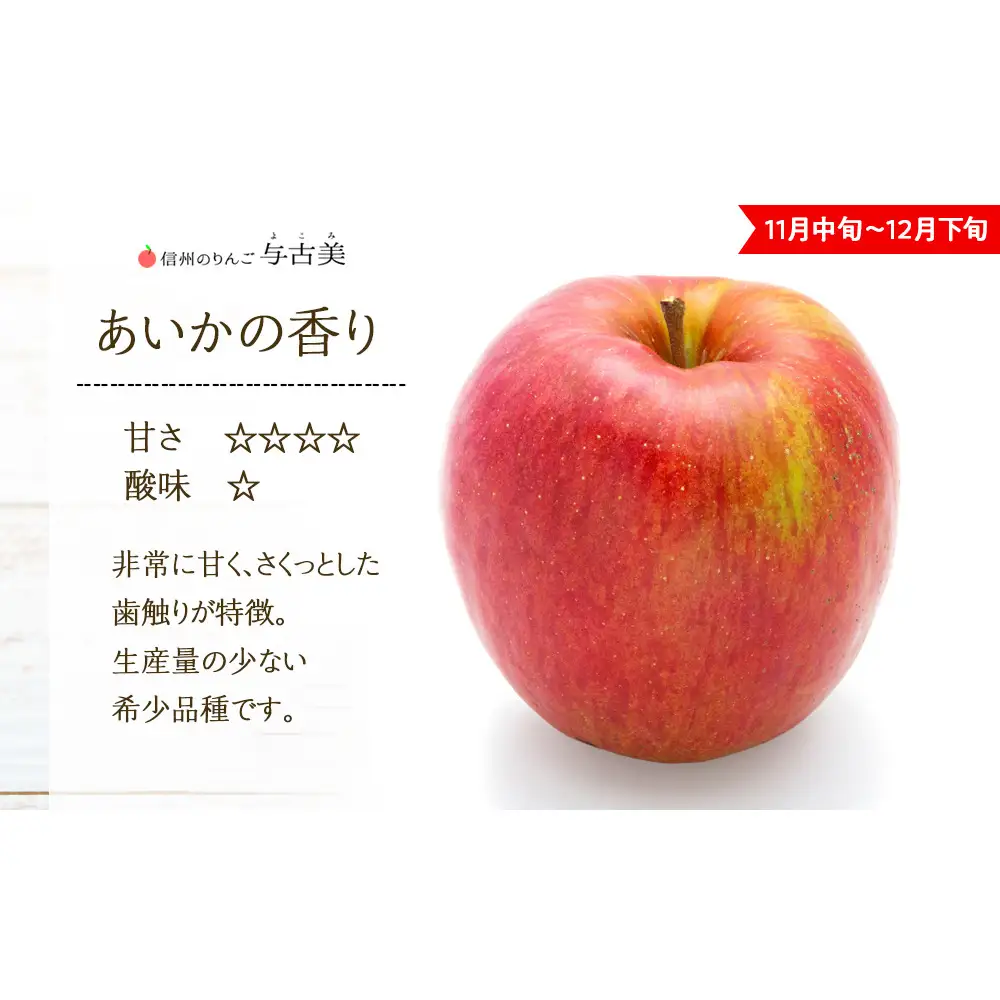 りんご あいかの香り 約5kg セット 2026年 令和8年度発送分 リンゴ 林檎 長野 フルーツ 果物 信州産 長野県産 特産 産地直送 おすすめ