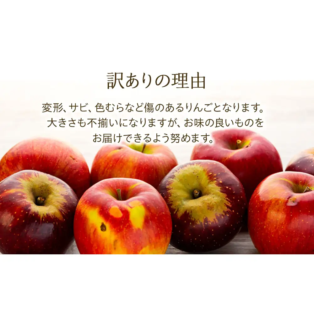 【2026年/令和8年度発送分 】訳あり 信州のりんご 秋映 約 3kg りんご リンゴ 林檎 長野 フルーツ 果物 信州産 長野県産 特産 産地直送 おすすめ