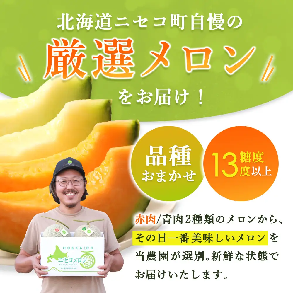 《2027年分受付中》糖度13度以上!市場には出回らない北海道ニセコメロン2玉（1玉1.6kg以上）/高橋農園【37001BA0101】