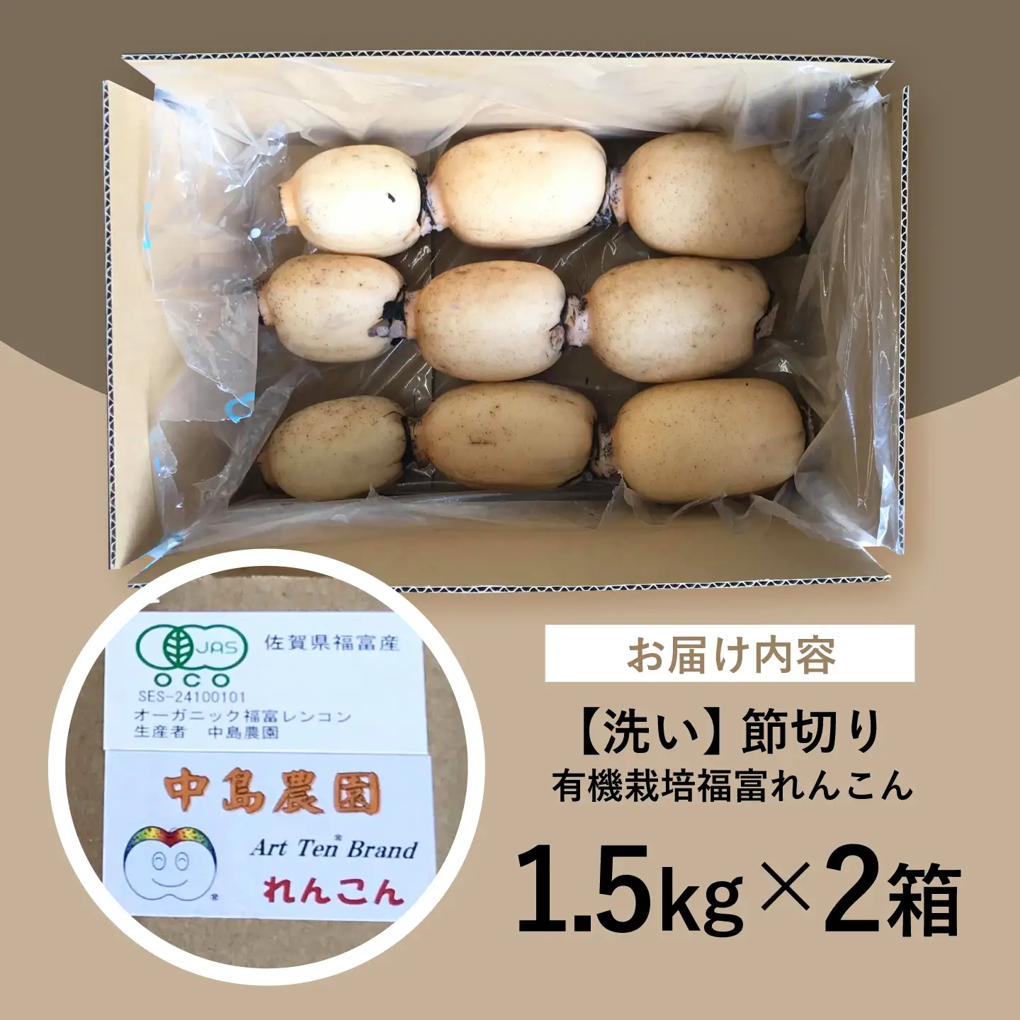 【洗い】【2026年9月～発送】節切り 有機栽培福富れんこん 約3kg(1.5kg×2箱)[IBC005]