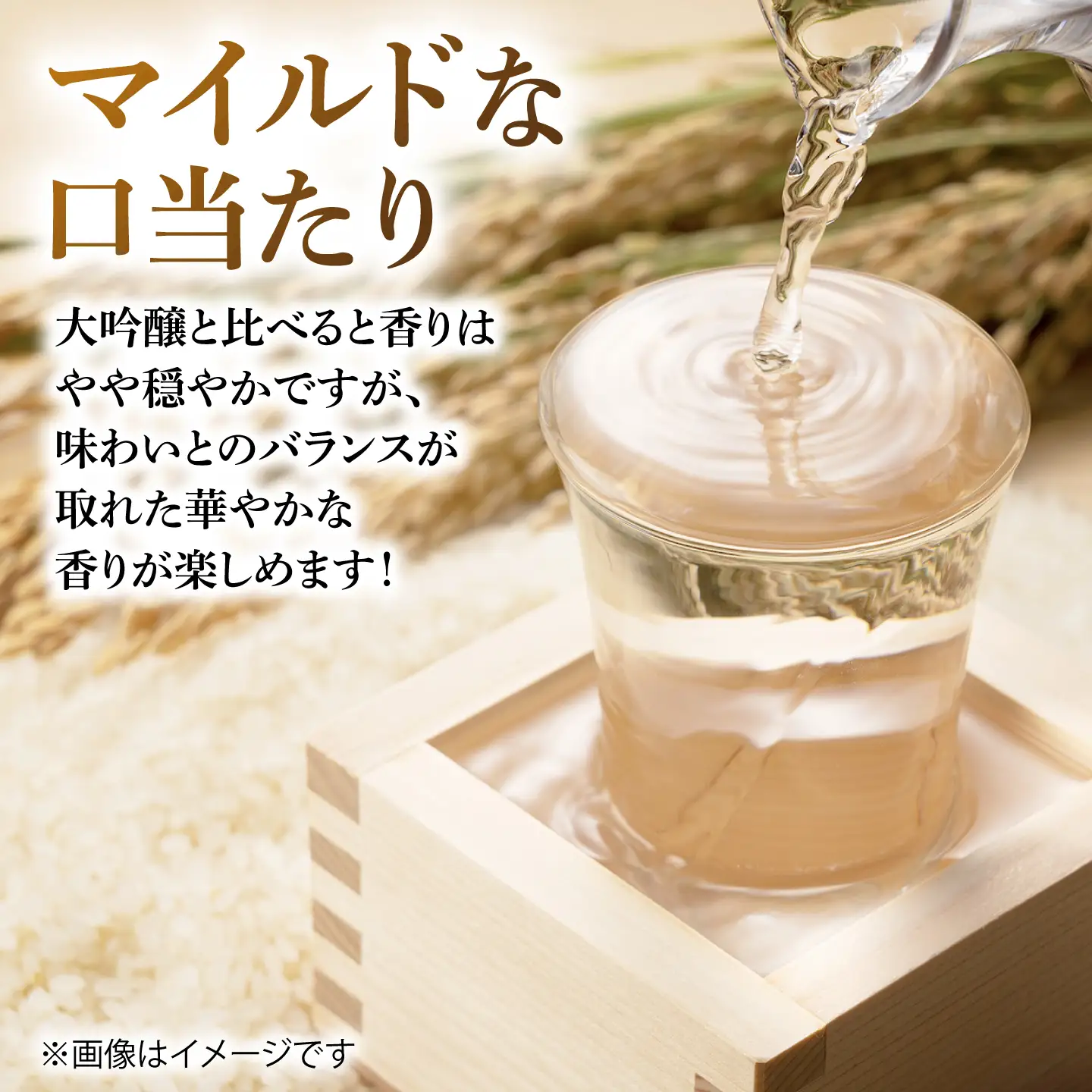 【The SAGA認定酒】能古見純米大吟醸 1.8L【有限会社大隈商店】[ICX007]