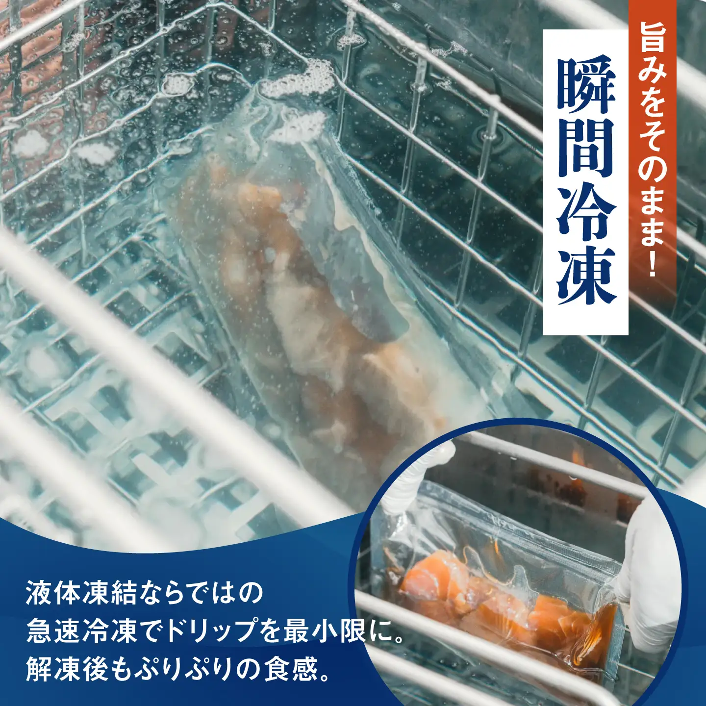 海鮮丼【漬け】120g×5食 漁師厳選 海鮮丼[ALFN008]