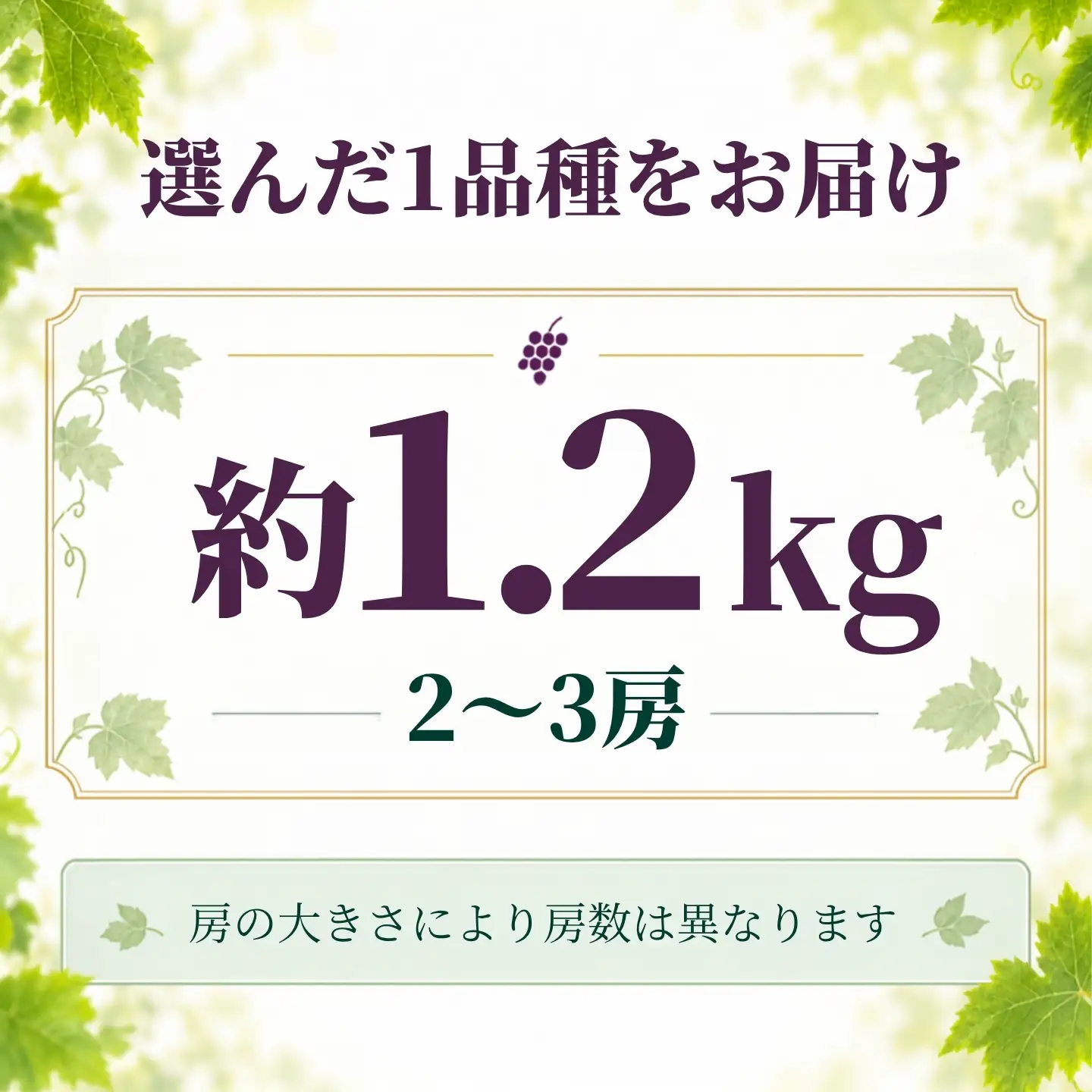【2027年 先行予約】 山梨県 都留市産  ぶどう クイーンニーナ