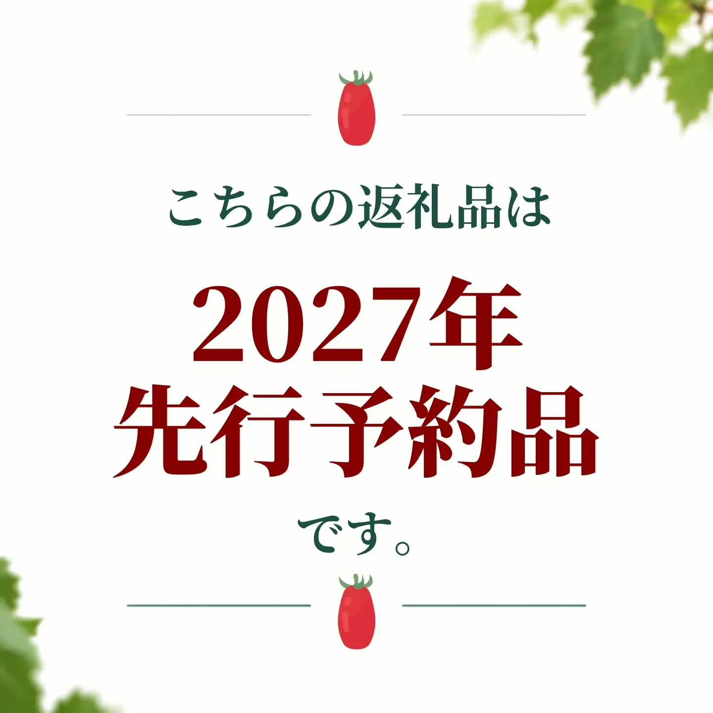 【2027年先行予約】山梨県都留市産 加熱用トマト サンマルツァーノ 約1kg