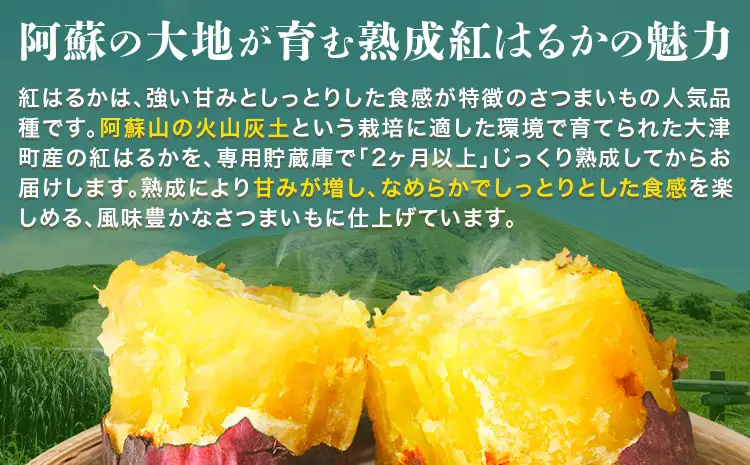 熟成 さつまいも 紅はるか 5kg S～2L 宇都宮農園《11月上旬-3月末頃出荷》