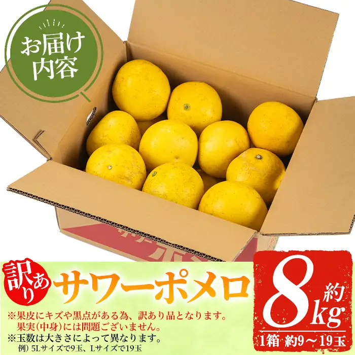 【訳あり 先行予約】3月頃から順次発送 いちき串木野市 サワーポメロ 8kg 箱 大橘 文旦【01-039-08】
