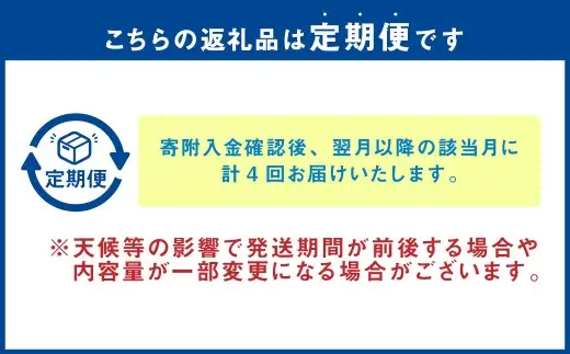 【 年4回定期便 】 旬の時期に旬の美味しいくまもとモンが届く！くまもとぐるっと道の駅定期便 定期便 野菜 やさい 有機野菜 果物 フルーツ 旬 詰め合わせ 詰合せ セット 特産品 特産物