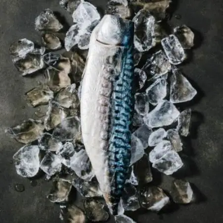 魚伝特製干物「さば3枚・3種1セット(さば文化、さばみりん、さば酒干し)」(冷凍)【配送不可地域：離島】【1784192】