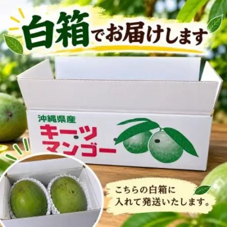 【2027年8月中旬より順次発送・家庭用】瀬底さんの幻のキーツマンゴー2kg(2～4玉)【1786013】