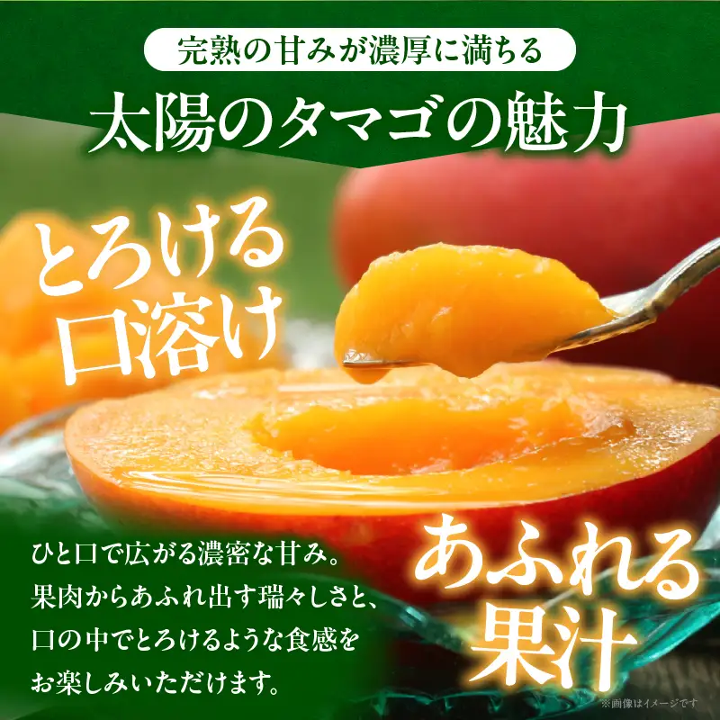 【全2回お届け】太陽のタマゴ 3L×2玉［T21］定期便 フルーツ 果物 くだもの 2027年 完熟マンゴー 国産 宮崎マンゴー マンゴージュース 南国フルーツ おすすめ デザート ギフト 贈り物 プレゼント 冷蔵 綾町 送料無料_A0113-011