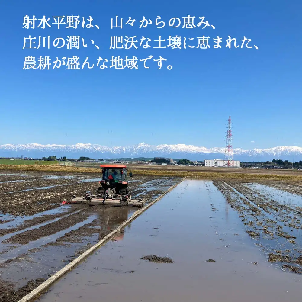 【射水市】【射水の美味しいお米】若竹のお米 R8年産 ミルキークイーン 20kg 【精米】