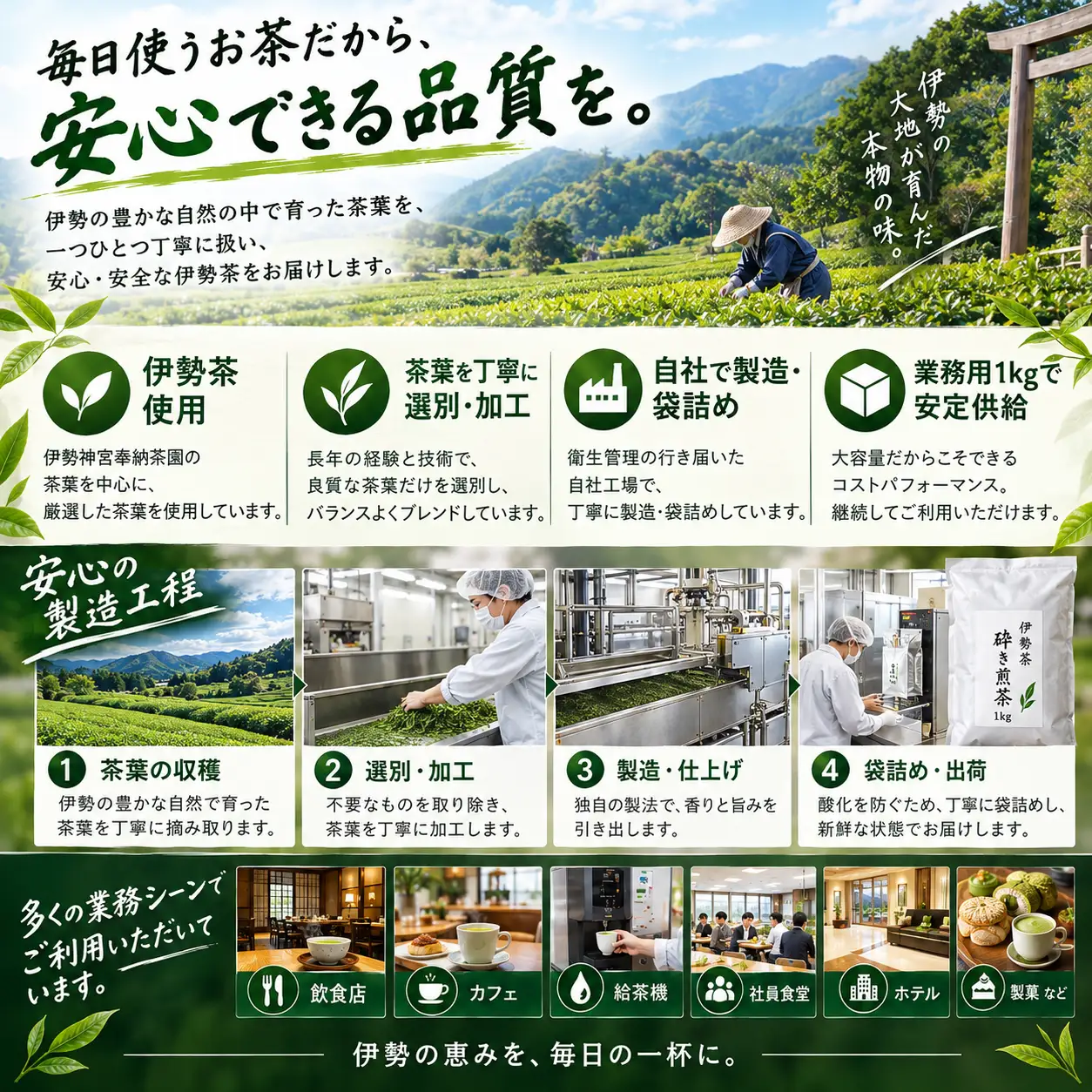 伊勢茶　喜多製茶　かぶせ茶ティーパック　5ｇ50個入り ／ 喜多製茶 お茶 緑茶 日本茶 本格的 手軽 国産 三重県 度会町 伊勢志摩