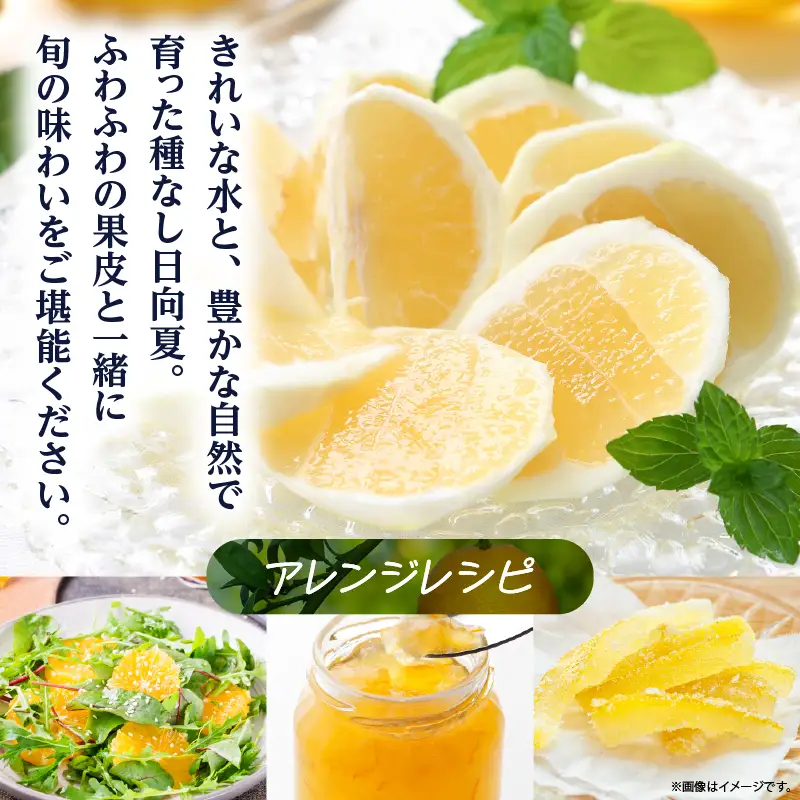 先行受付 初春の旬 日向夏 種なし 2kg ［H20］ 果物 フルーツ くだもの 2027年 柑橘 みかん 国産 フルーツサンド ジュース おやつ スイーツ デザート ジャム さわやかな甘み おすすめ ギフト 贈り物 贈答 ご褒美 おすそ分け お返し 宮崎県 綾町 送料無料_A0113-012