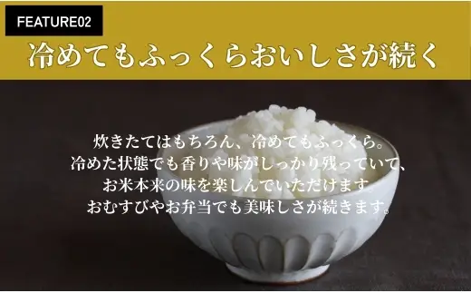 【2026年11月以降発送開始予定】会津産コシヒカリ 米でいいの田゛白米 5kg｜  会津産 米 お米 こめ コメ 精米 こしひかり