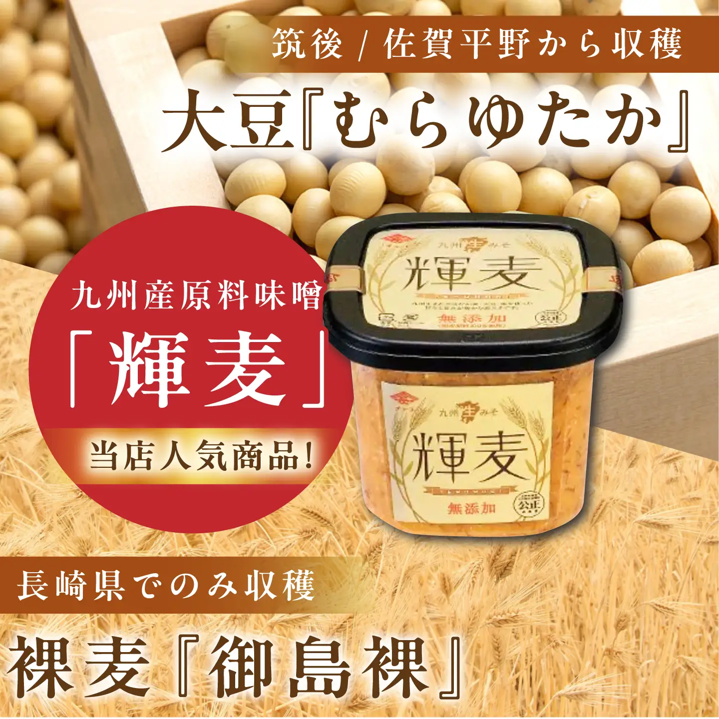 輝麦 500g×6個 味噌 麦みそ チョーコー醤油[ACYY014]