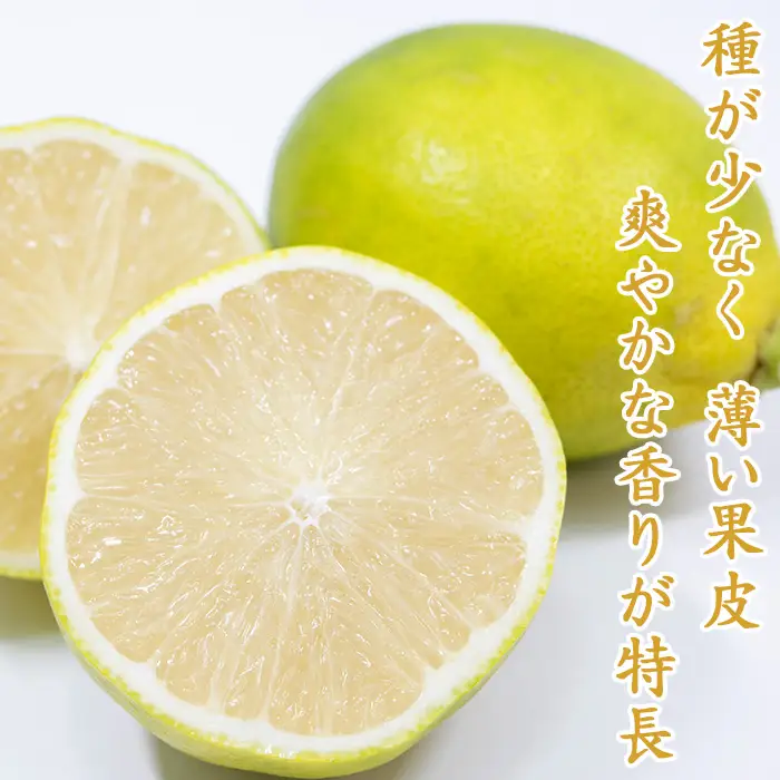 【鴨川の柑橘】まろやかな酸味とたっぷり果汁『璃の香レモン』５kg 《10月より発送開始》《数量限定》《先行予約》ちばエコ農産物 りのか リノカ 国産レモン 旬の柑橘 レモン 薄皮 草生栽培 低農薬 除草剤不使用 鴨川産 千葉県産 [安田園芸][0011-0085]