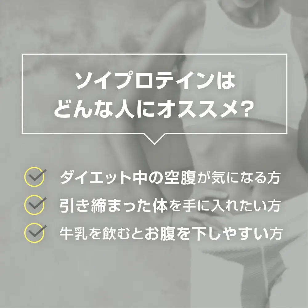 ソイプロテイン ティゴラ/900g/タンパク質含有量85％/ココア