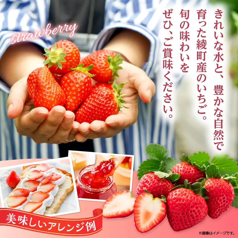 先行予約【全2回お届け】 いちご 定期便 合計2kg［I21］果物 フルーツ くだもの 2027年 青果 苺 イチゴ いちご大福 国産 おやつ スイーツ デザート おすすめ ジャム ジュース 甘い ジューシー ギフト おすそ分け 宮崎県 綾町 送料無料_A0113-014