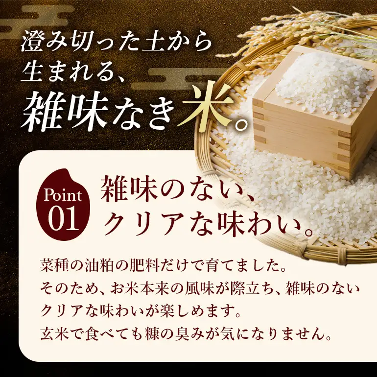 令和8年 新米 玄米 ひのひかり 5kg 6ヶ月定期便 ぶんぶんファーム