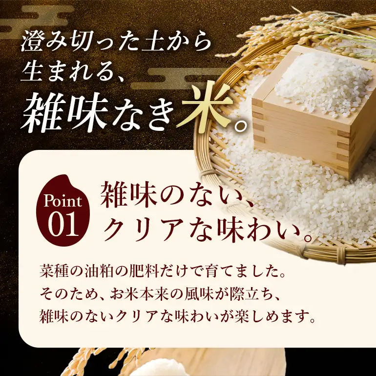 令和8年 新米 白米 ひのひかり 5kg 12ヶ月定期便 ぶんぶんファーム