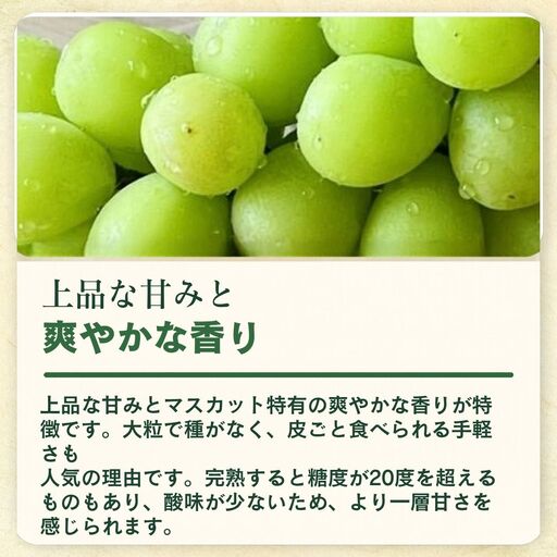 2027年先行予約】訳ありシャインマスカット1房 (約500g~約600g