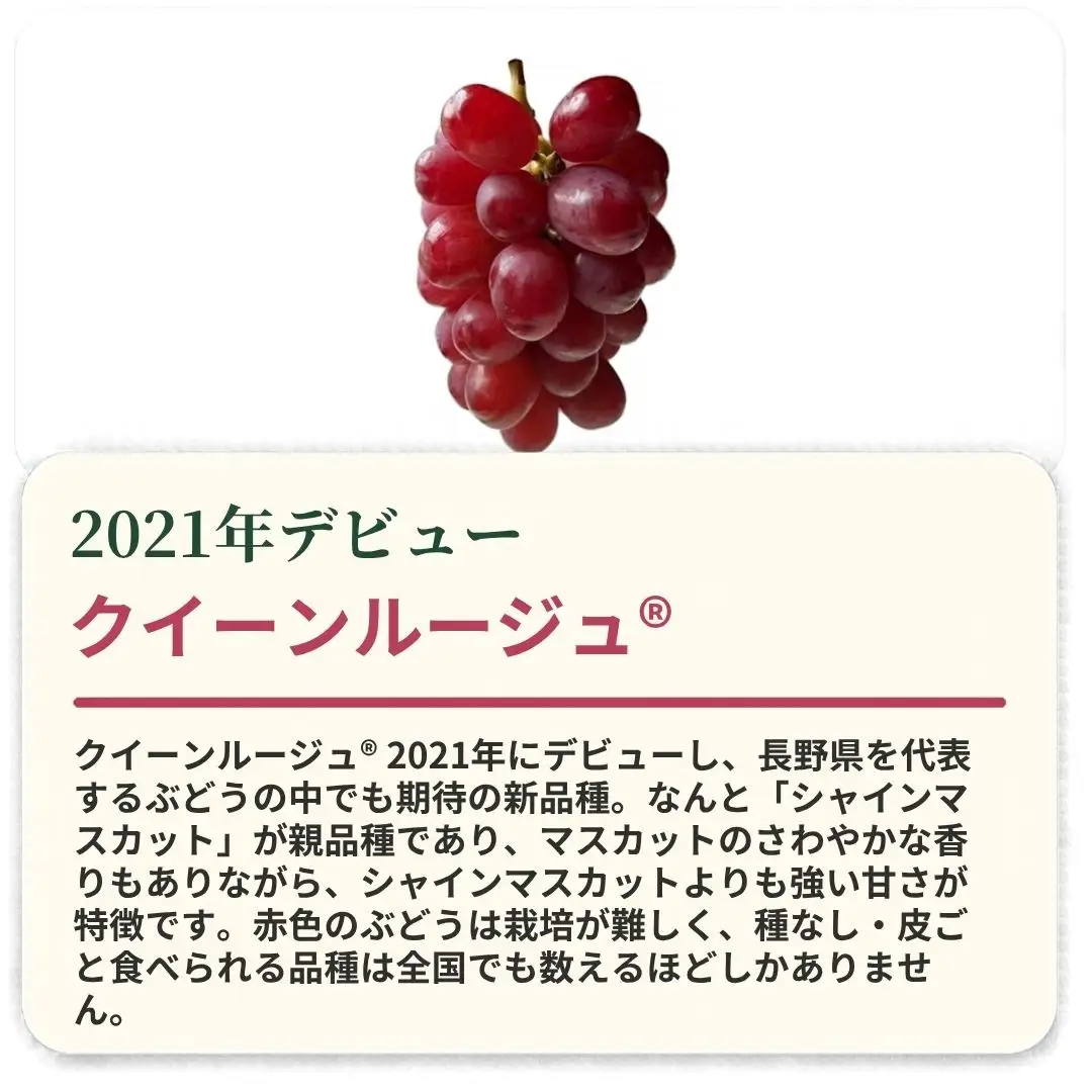 【2027年先行予約】クイーンルージュ®︎1房 (約400g~約500g)｜クイーンルージュ