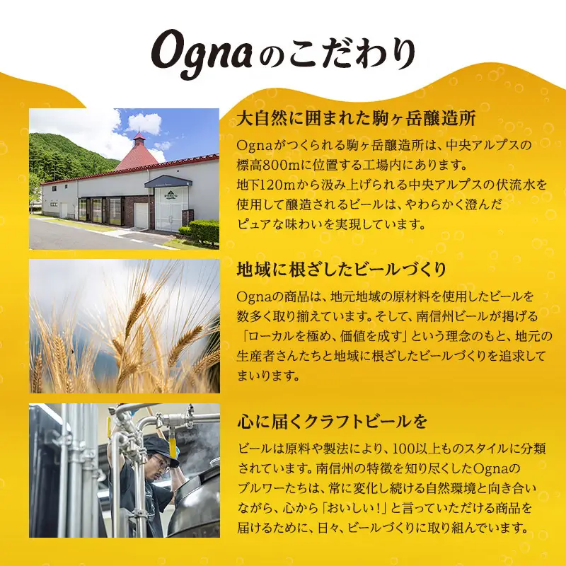 ノンアルコールビール飲み比べセット 南信州 信州 ノンアルコール ビール セット