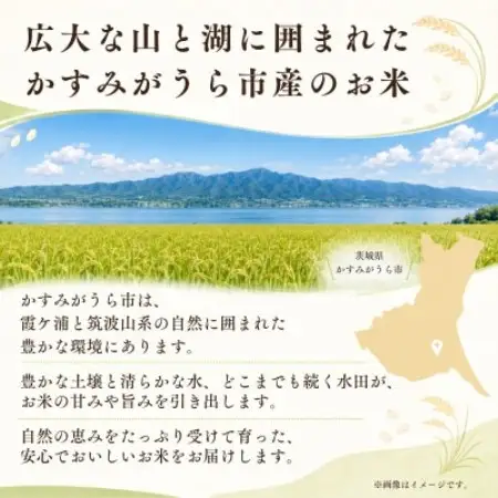 【毎月定期便】お米屋さんのコシヒカリ 精米 10kg(5kg×2)全3回【4094333】